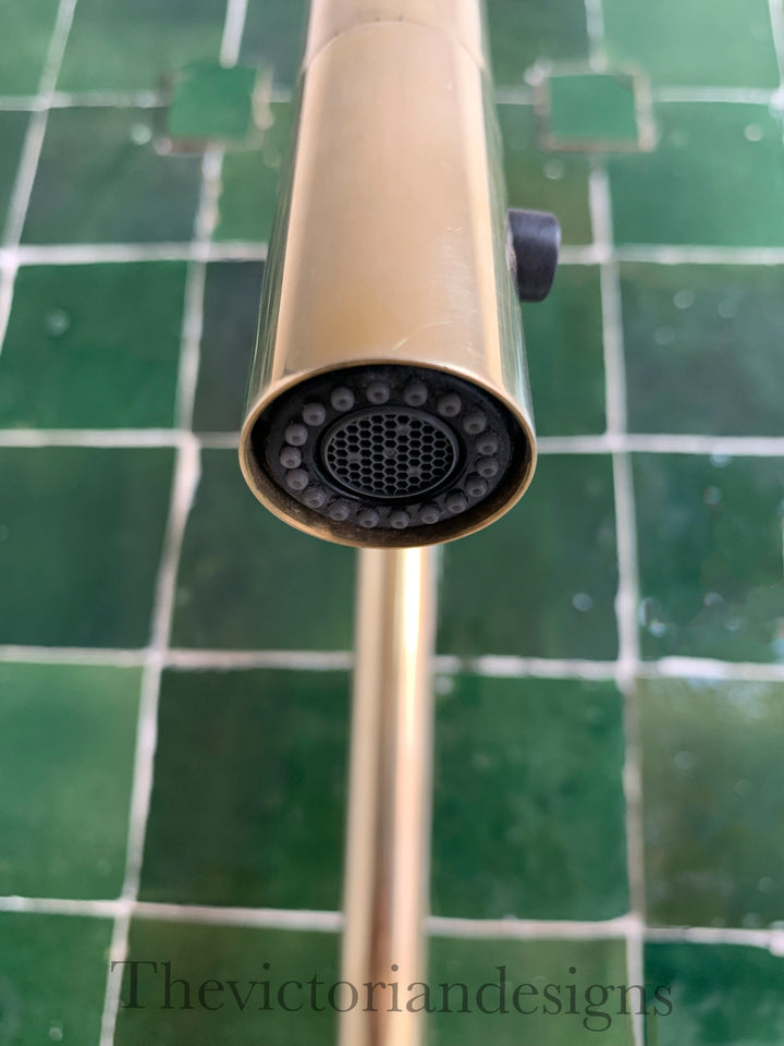 Unlacquered Brass Single Handle Pull-Down Kitchen Faucet - Triazadesigns