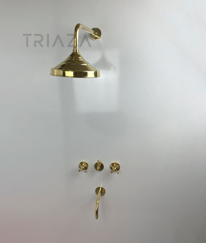 Unlacquered Brass Solid Brass Shower Head And Tub Filller - Triazadesigns