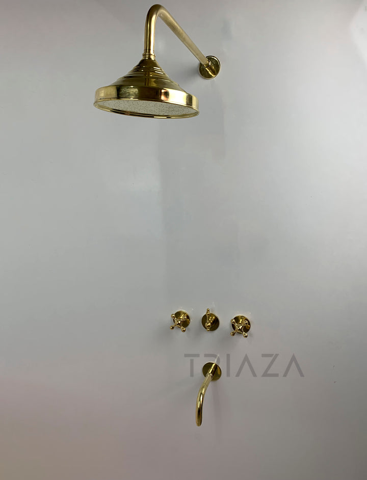 Unlacquered Brass Solid Brass Shower Head And Tub Filller - Triazadesigns