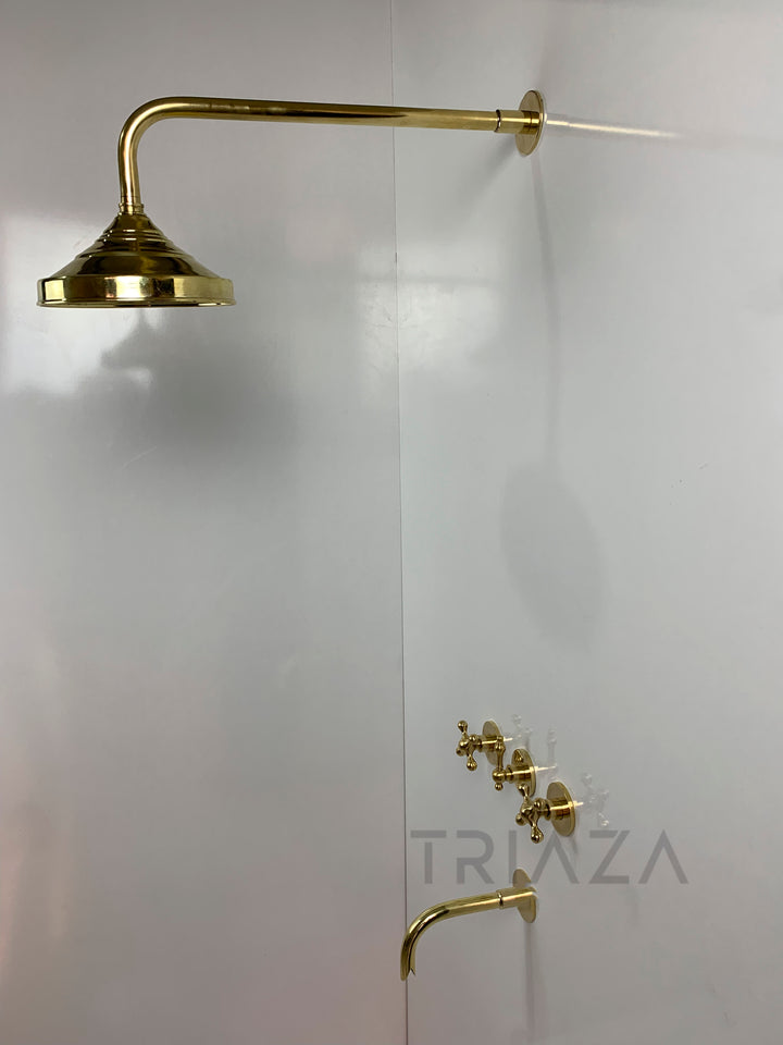 Unlacquered Brass Solid Brass Shower Head And Tub Filller - Triazadesigns