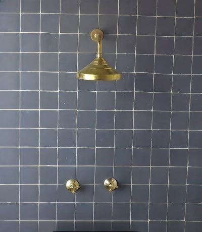Unlacquered Brass Solid Brass Shower Head With Simple Arm - Triazadesigns